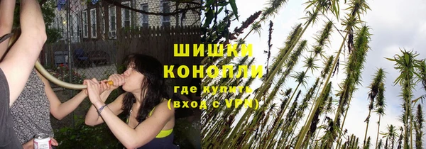 кокс Дмитров