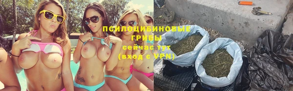 кокс Дмитров