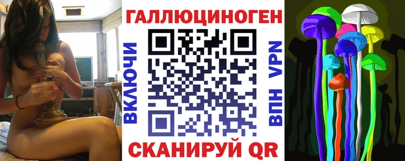 где можно купить Искитим KRAKEN ONION Псилоцибиновые грибы мицелий