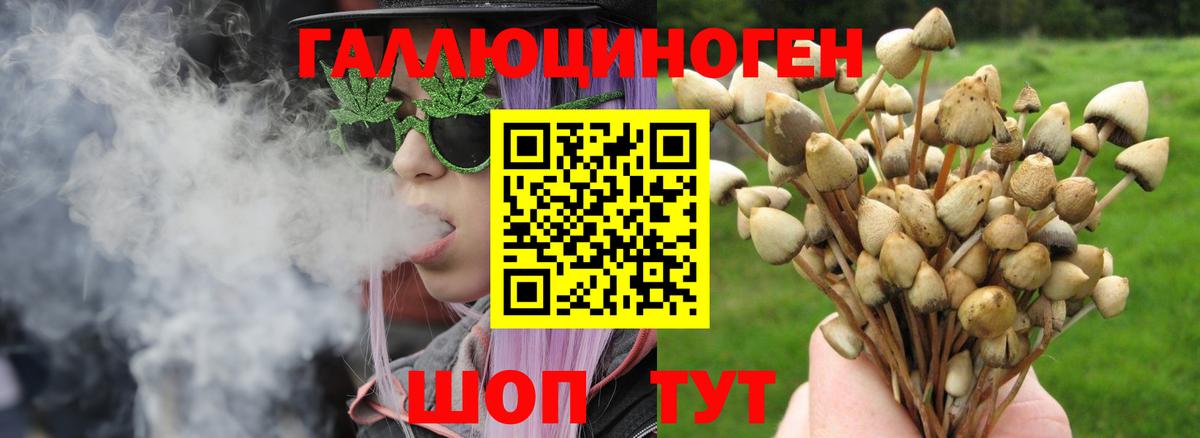 Псилоцибиновые грибы Psilocybe  Вход с VPN  Искитим  Галлюциногенные грибы прущие грибы 