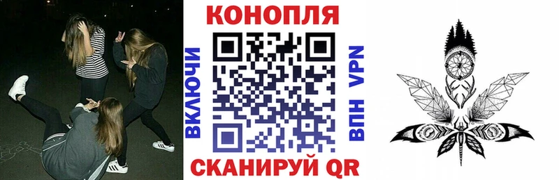 Бошки Шишки гибрид  Искитим 
